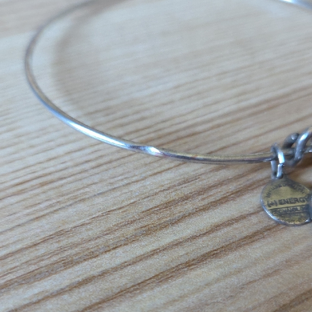 Alex and Ani Silver Lotus 2012 Charm Bangle Bracelet - Picture 4 of 8